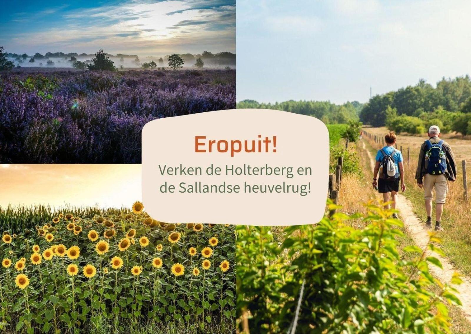 Vakantiepark Hoelte Rijssen Zewnętrze zdjęcie