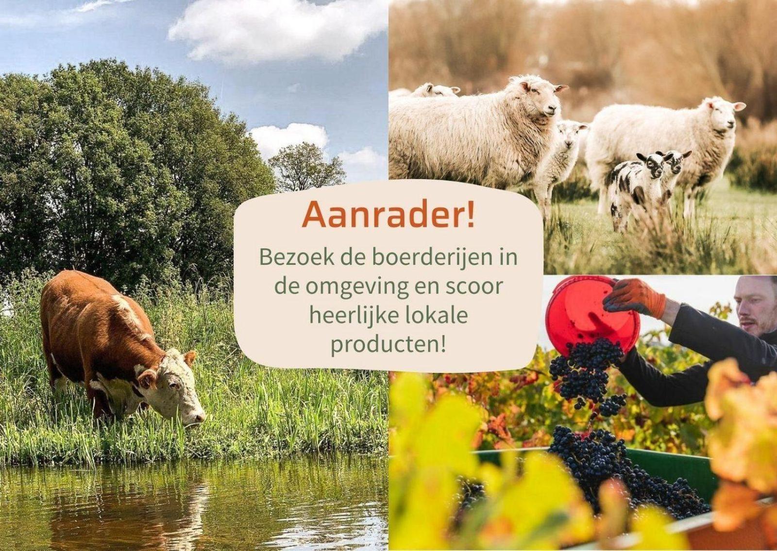 Vakantiepark Hoelte Rijssen Zewnętrze zdjęcie